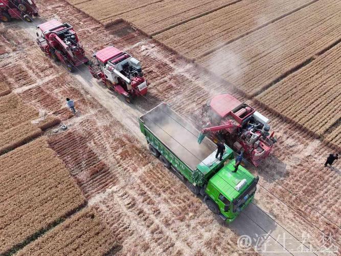 “三夏”中的新型生产力 “三夏”中的新型生产力